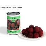 CF07 Canned Arbutus In Syrup 6*567G | Hong Kong Store Limited