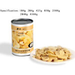 CM02 KKZ Canned Champignon Mushrooms Pieces & Stems 6*4100G-36months | Hong Kong Store Limited
