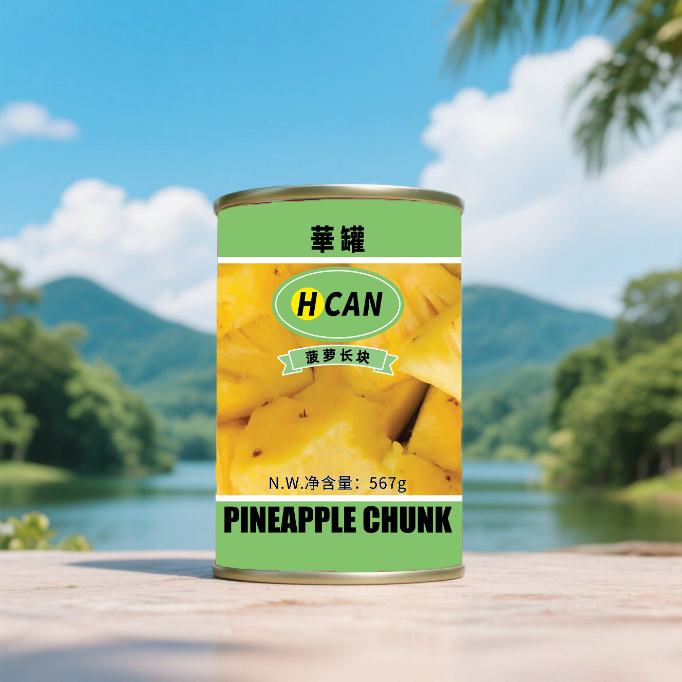 CF12 KKZ Canned Pineapples Pieces in Syrup 24*567G-24months